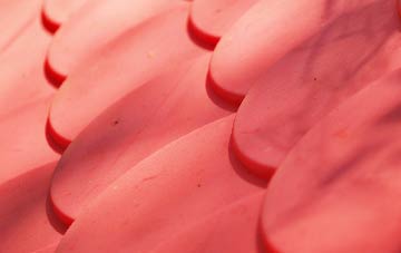 Hortonlane plastic roof costs