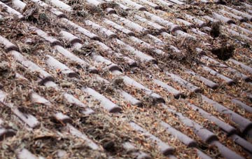 Hortonlane roof cleaning companies